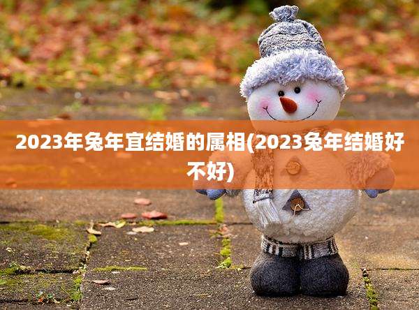 2023年兔年宜结婚的属相(2023兔年结婚好不好)