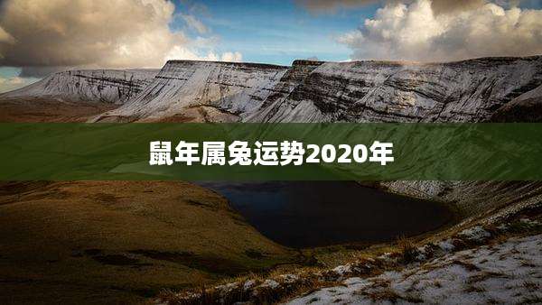 鼠年属兔运势2020年