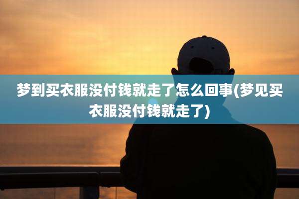 梦到买衣服没付钱就走了怎么回事(梦见买衣服没付钱就走了)