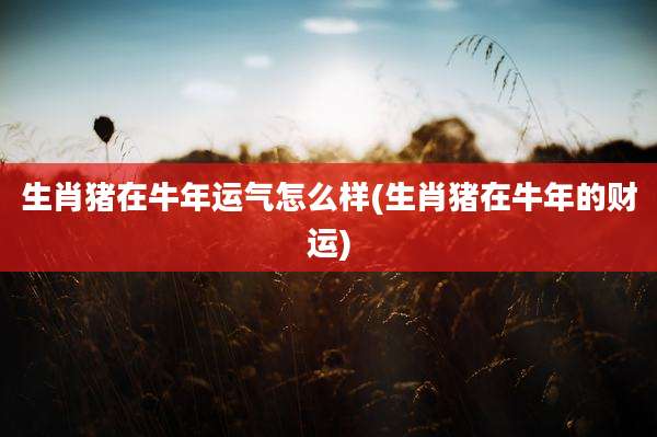 生肖猪在牛年运气怎么样(生肖猪在牛年的财运)