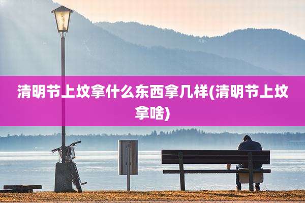 清明节上坟拿什么东西拿几样(清明节上坟拿啥)