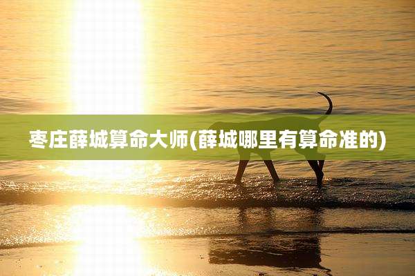 枣庄薛城算命大师(薛城哪里有算命准的)