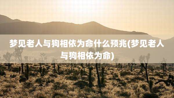 梦见老人与狗相依为命什么预兆(梦见老人与狗相依为命)