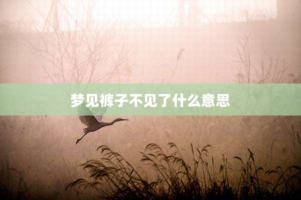 梦见裤子不见了什么意思
