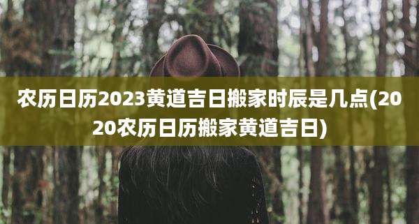 农历日历2023黄道吉日搬家时辰是几点(2020农历日历搬家黄道吉日)