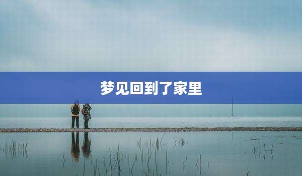梦见回到了家里