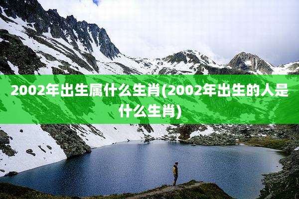 2002年出生属什么生肖(2002年出生的人是什么生肖)