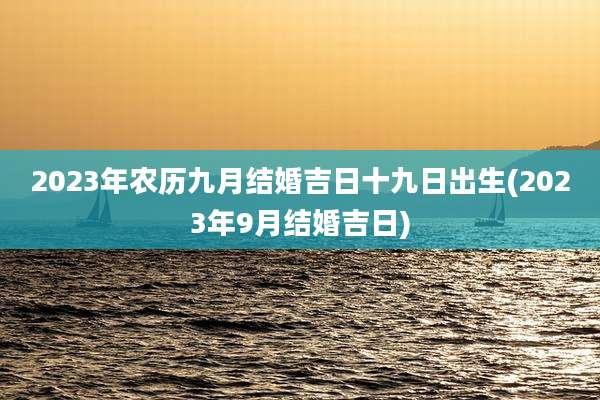 2023年农历九月结婚吉日十九日出生(2023年9月结婚吉日)