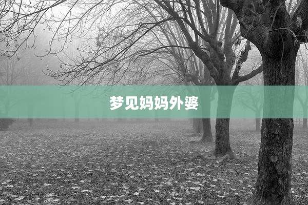梦见妈妈外婆
