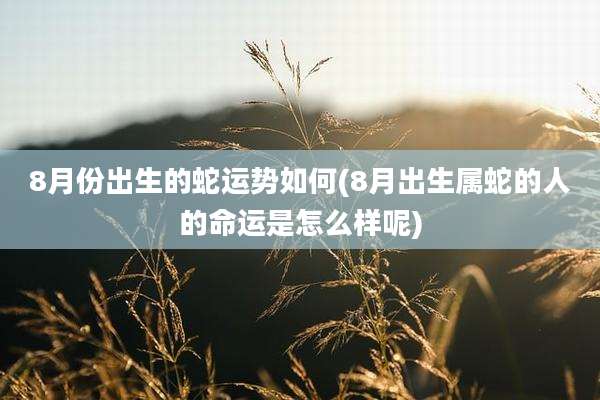 8月份出生的蛇运势如何(8月出生属蛇的人的命运是怎么样呢)
