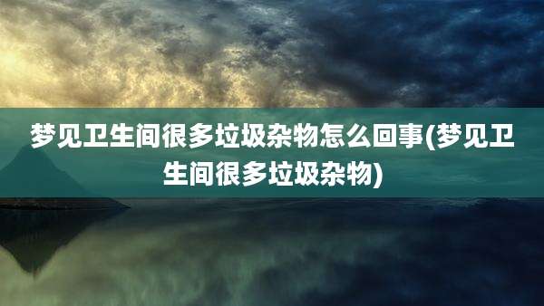 梦见卫生间很多垃圾杂物怎么回事(梦见卫生间很多垃圾杂物)