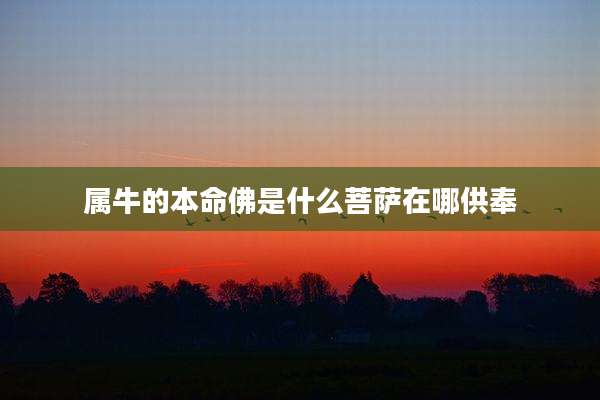 属牛的本命佛是什么菩萨在哪供奉