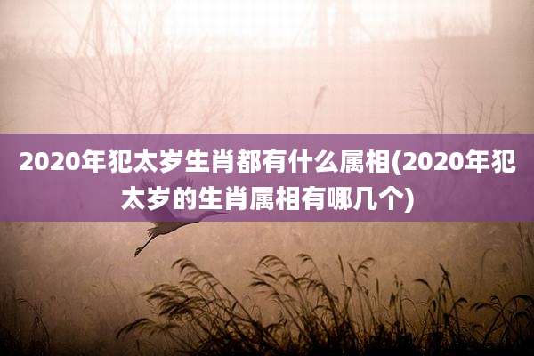 2020年犯太岁生肖都有什么属相(2020年犯太岁的生肖属相有哪几个)