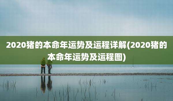 2020猪的本命年运势及运程详解(2020猪的本命年运势及运程图)