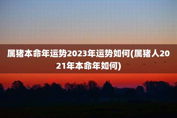 属猪本命年运势2023年运势如何(属猪人2021年本命年如何)