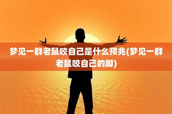 梦见一群老鼠咬自己是什么预兆(梦见一群老鼠咬自己的脚)