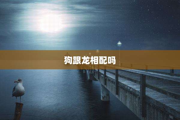 狗跟龙相配吗