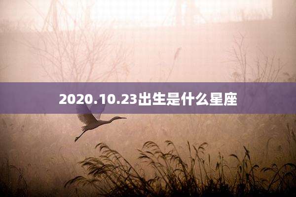 2020.10.23出生是什么星座