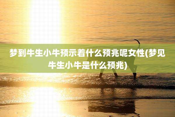 梦到牛生小牛预示着什么预兆呢女性(梦见牛生小牛是什么预兆)