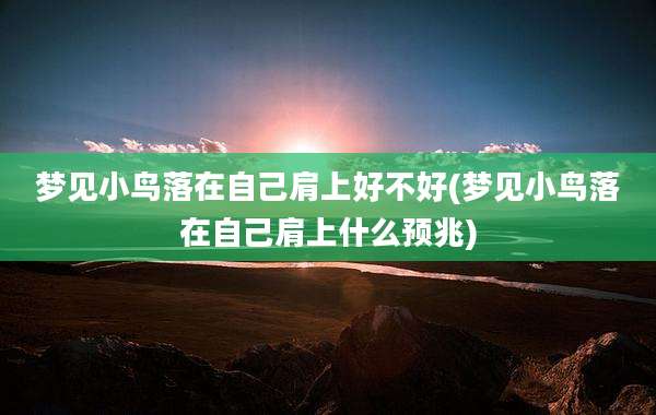 梦见小鸟落在自己肩上好不好(梦见小鸟落在自己肩上什么预兆)