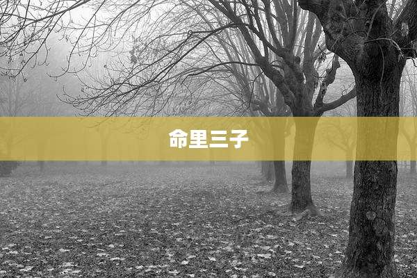 命里三子