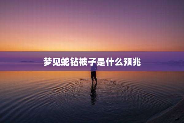 梦见蛇钻被子是什么预兆