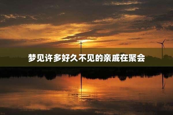 梦见许多好久不见的亲戚在聚会