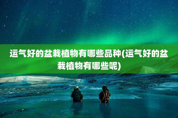 运气好的盆栽植物有哪些品种(运气好的盆栽植物有哪些呢)