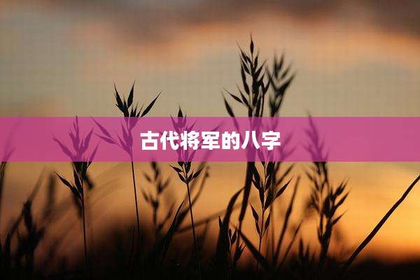 古代将军的八字