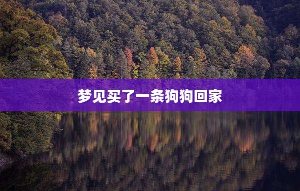 梦见买了一条狗狗回家