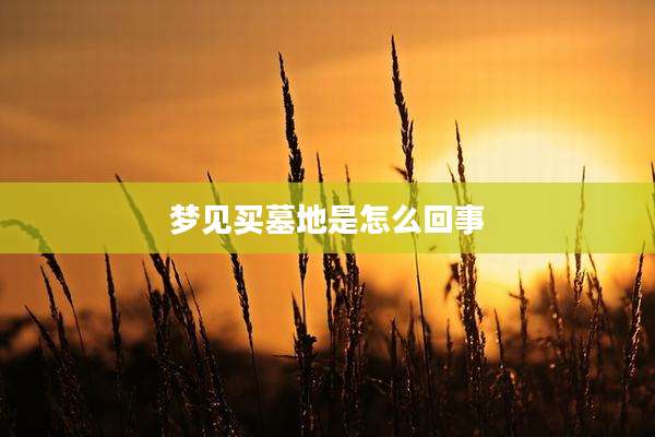 梦见买墓地是怎么回事