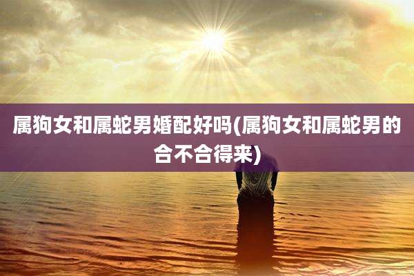 属狗女和属蛇男婚配好吗(属狗女和属蛇男的合不合得来)