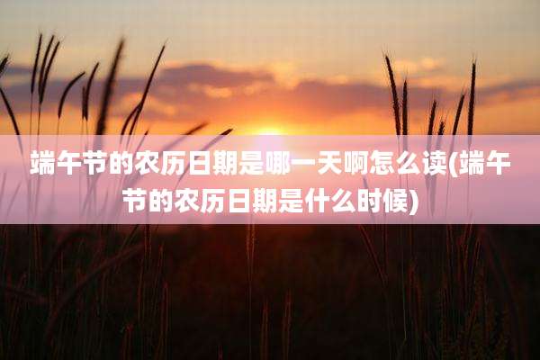端午节的农历日期是哪一天啊怎么读(端午节的农历日期是什么时候)