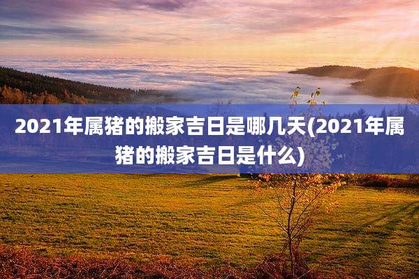 2021年属猪的搬家吉日是哪几天(2021年属猪的搬家吉日是什么)