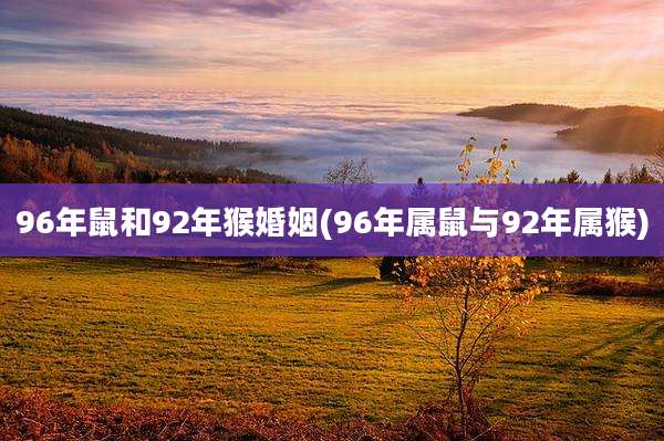 96年鼠和92年猴婚姻(96年属鼠与92年属猴)