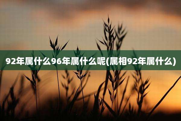 92年属什么96年属什么呢(属相92年属什么)