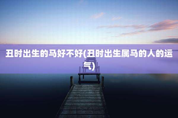 丑时出生的马好不好(丑时出生属马的人的运气)