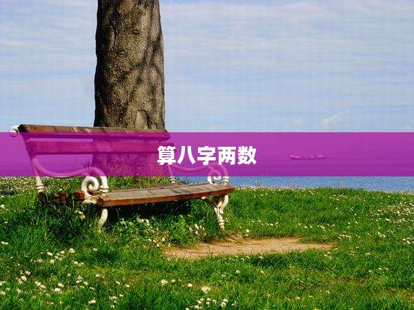 算八字两数