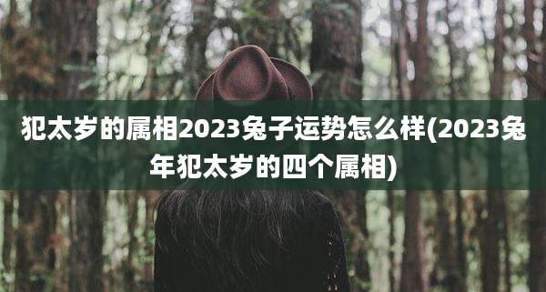 犯太岁的属相2023兔子运势怎么样(2023兔年犯太岁的四个属相)