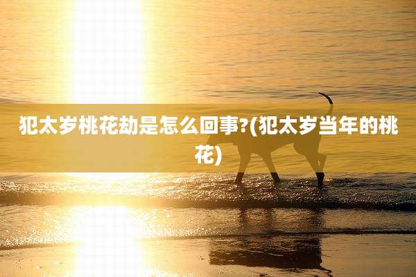犯太岁桃花劫是怎么回事?(犯太岁当年的桃花)