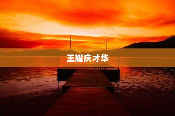 王耀庆才华