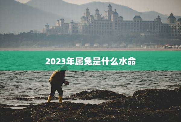 2023年属兔是什么水命