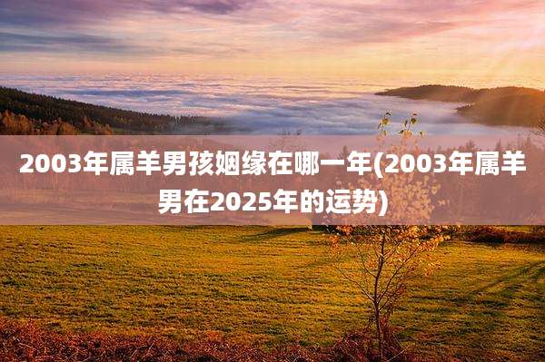 2003年属羊男孩姻缘在哪一年(2003年属羊男在2025年的运势)