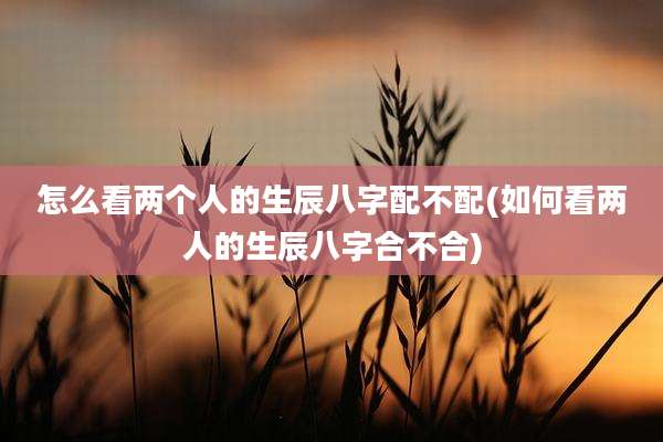 怎么看两个人的生辰八字配不配(如何看两人的生辰八字合不合)
