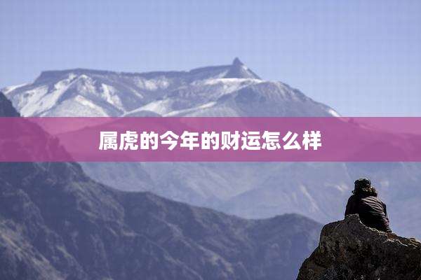 属虎的今年的财运怎么样