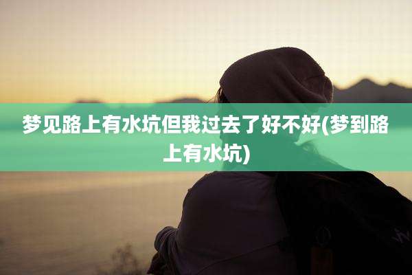 梦见路上有水坑但我过去了好不好(梦到路上有水坑)