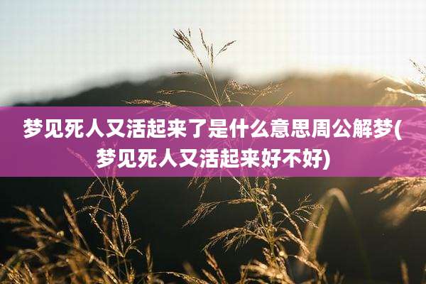梦见死人又活起来了是什么意思周公解梦(梦见死人又活起来好不好)