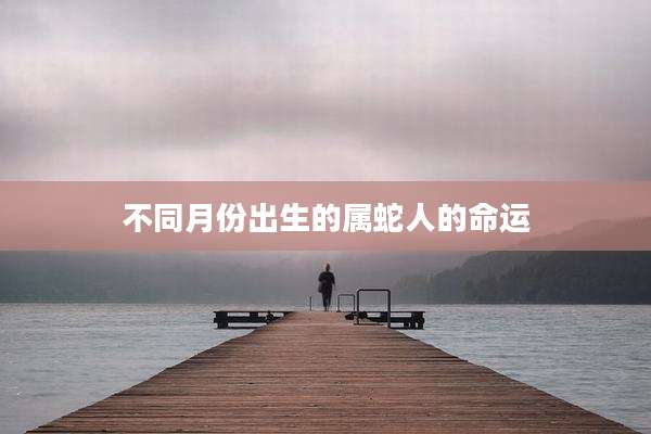 不同月份出生的属蛇人的命运