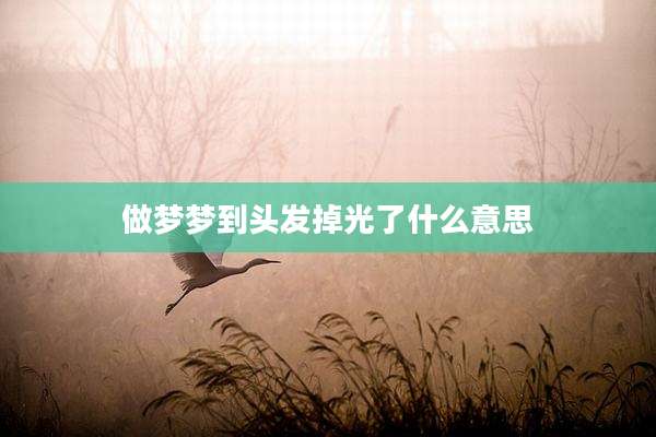 做梦梦到头发掉光了什么意思