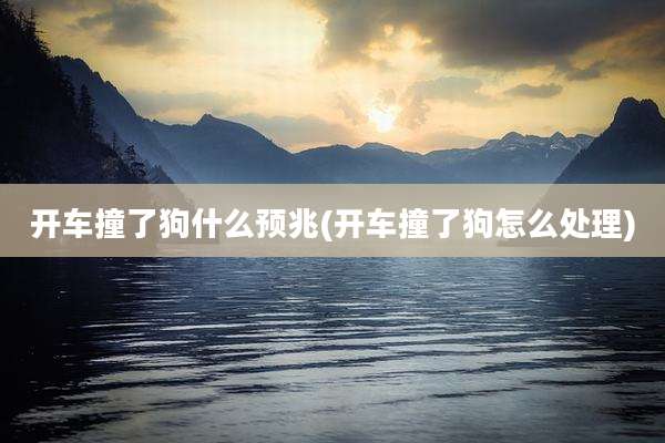 开车撞了狗什么预兆(开车撞了狗怎么处理)